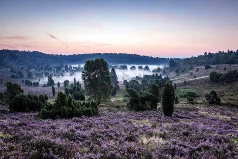 Ferienwohnung Im Auetal - Wohnung I Hanstedt Bagian luar foto
