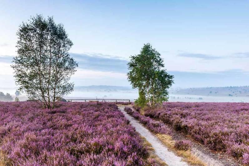 Ferienwohnung Im Auetal - Wohnung I Hanstedt Bagian luar foto